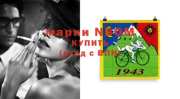 индика Надым