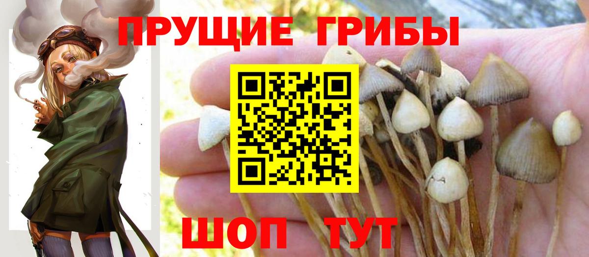 Галлюциногенные грибы Magic Shrooms Оренбург
