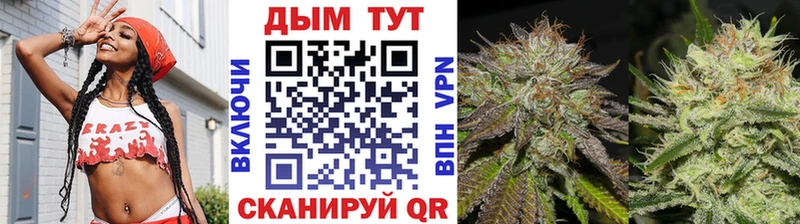 наркошоп  Оренбург  Конопля семена 